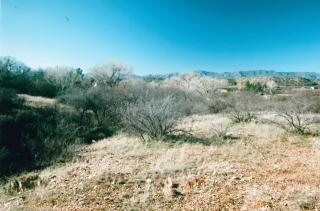 790 Aspaas Rd, Cornville, AZ 86325-5417
