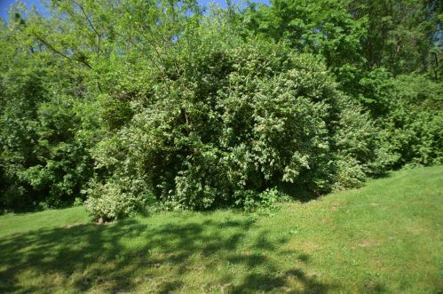 7445 River Rd, Taylorsport KY  41048-9729 exterior