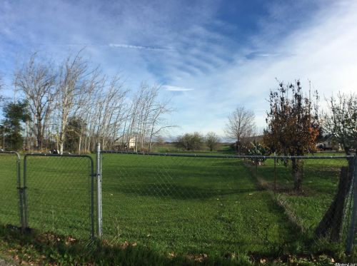 16991 Alpha St, Esparto, CA 95627-2094
