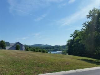 6004 Paradise Cove Dr, Mooresburg, TN 37811-2699