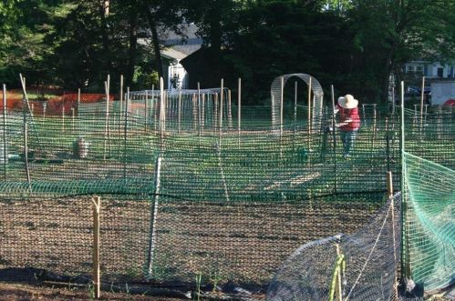 31 Williams Glen Way, Glastonbury CT  06033-2272 exterior