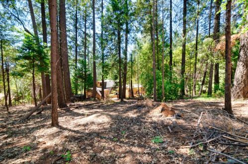 5043 Virginia Bird Mine Ct, Michigan Bluff CA  95631-9733 exterior