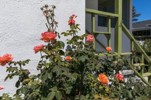 22 Henry Pl, Millbrae CA  94030-1610 exterior