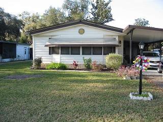 54 Robin Rd, Wildwood, FL 34785-9021