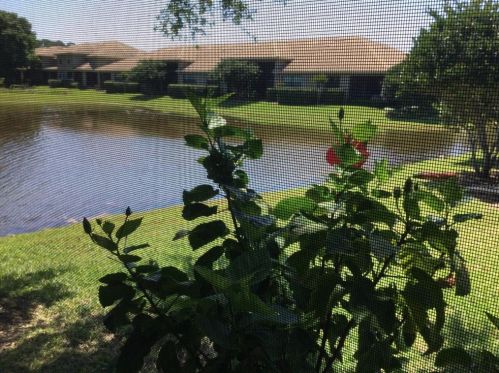 4801 Michelle Ln, Palm Harbor, FL 34684-1064