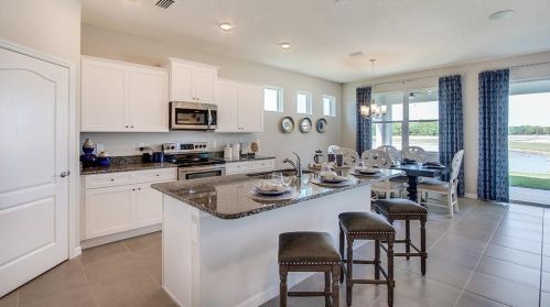11892 Frost Aster Dr, Riverview, FL 33579-4100