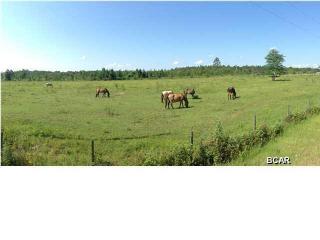 23231 Lamont Rd, Fountain, FL 32438-6068