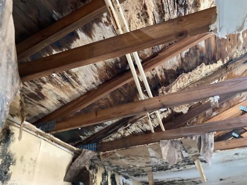 3710 24th Ave, Naples FL  34120-3546 exterior