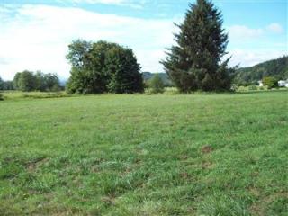 12 Monroe Ct, Puget Island, WA 98612-9638