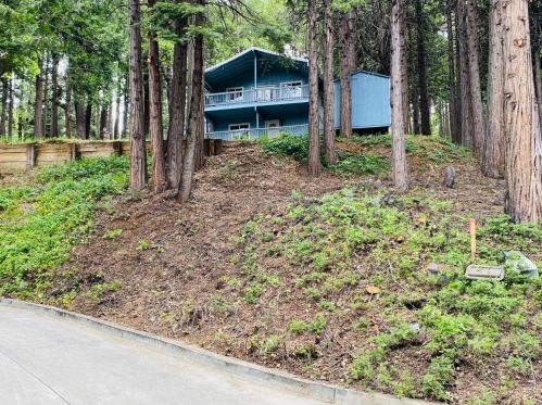 3960 Garnet Rd, Pacific House, CA 95726-9517