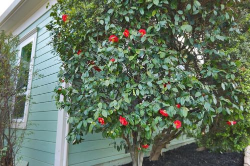 632 Church St, Lodi CA  95240-1208 exterior