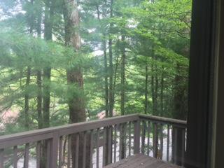 105 Bear Trak, Nashville, TN 37221-2222