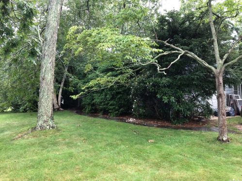 36 Skookwams Ct, West Islip NY  11795-4604 exterior