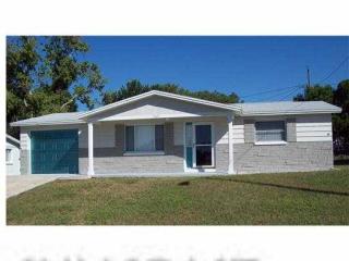 5027 Farley Dr, Tarpon Springs, FL 34690-2011