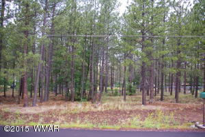 3242 Mark Twain Dr, Pinetop, AZ 85935-8619