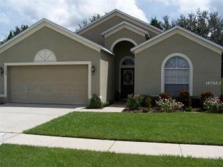 13228 Cherry Bark Cir, Riverview, FL 33579-1104