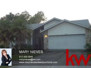 12905 Tikiwood Ct, Riverview, FL 33579-7021
