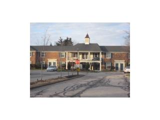 2102 Glouchester Dr, Cleveland OH  44124-4013 exterior