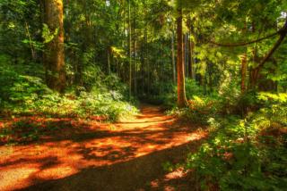 14702 Kayak Point Rd, Camano Island, WA 98292-6755