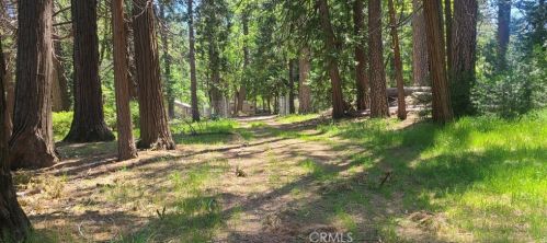 13783 Nimshew Rd, Nimshew CA  95954-9690 exterior