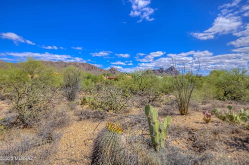 2001 Flying Q Ln, Tucson AZ  85713-6726 exterior