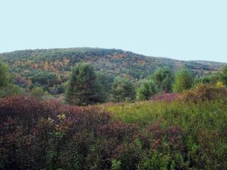 279 Fisher Settlement Rd, West Danby, NY 14883-9368