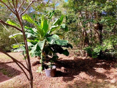 194 Creekside Ln, Defuniak Springs FL  32433-4906 exterior