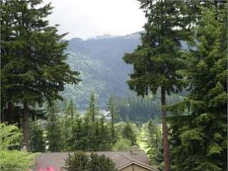 6 Horizon Hill Ln, Bellingham, WA 98229-7912