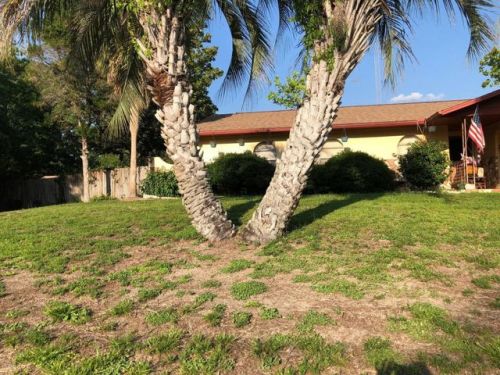 13705 47th Ave, Summerfield, FL 34491-7310