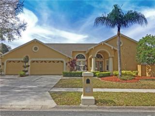 17308 Carriage Way, Odessa, FL 33556-1807