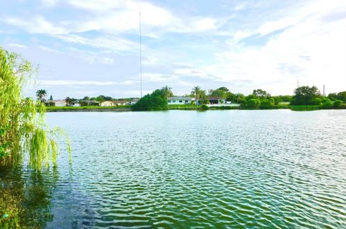 2217 Harrison Dr, Tarpon Springs, FL 34691-3388