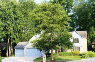 979 Landings Ct, Westerville, OH 43082-7429