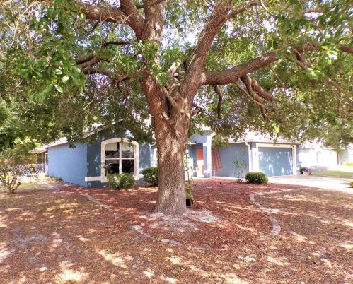 2823 Arbour Trail Ct, Deltona, FL 32725-3029