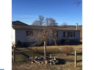427 Bear Creek St, Brommerstown, PA 17922-8949