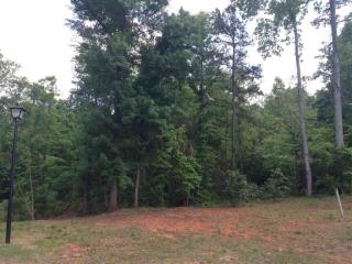 18 San Bruno Ct, Greer, SC 29651-2117