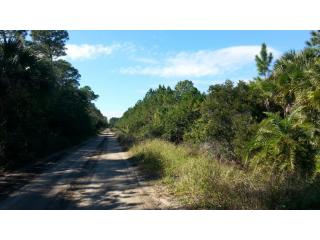 13810 87th St, Fellsmere, FL