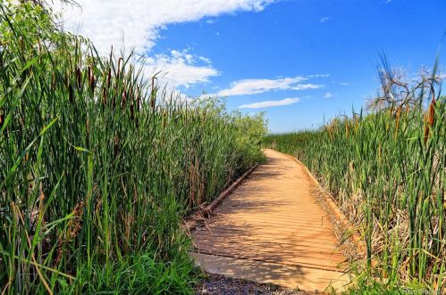 14300 Waterside Ln, Westminster CO 80023-4501 exterior