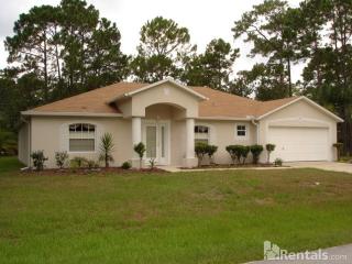 80 Wellstone Dr, Palm Coast FL  32164-7843 exterior