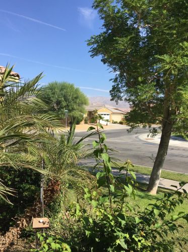 43073 Traccia Way, Indio, CA 92203-2953