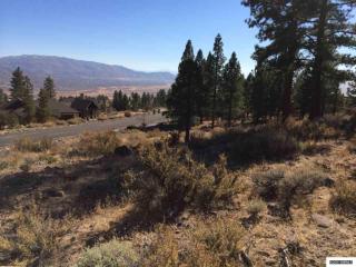 4565 Pinewild Rd, Reno, NV 89511-2774