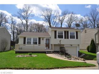 4806 Trafalgar St, Canton, OH 44706-2162