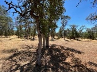 6321 Upper Palermo Rd, Oroville CA  95966-9017 exterior