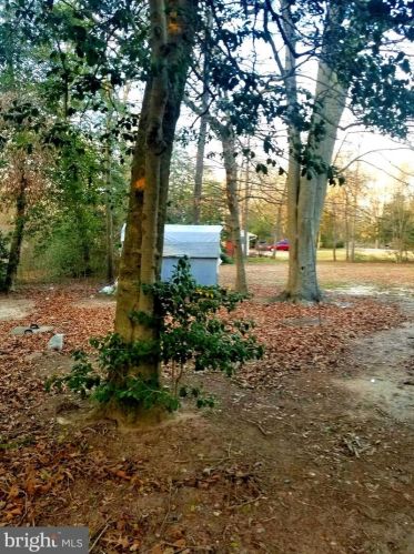 25166 County Rd, Seaford DE  19973-8631 exterior