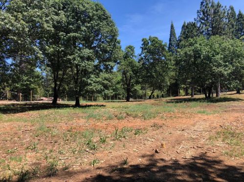 23391 Highway 26, West Point, CA 95255-9701