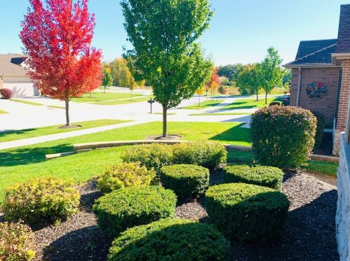 9937 Settlers Ct, Dyer, IN 46373-8633
