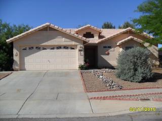 9252 Wild Wash Dr, Tucson, AZ 85747-5408