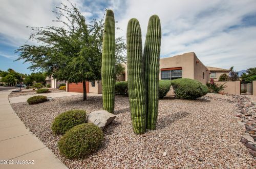 12472 Forest Lake Way, Tucson, AZ 85755-8973