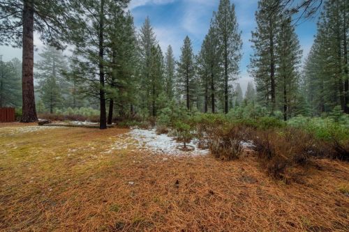 14889 Cavalier Rise, Truckee CA exterior