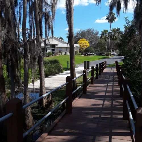 1735 Hammocks Ave, Lutz FL  33549-4203 exterior