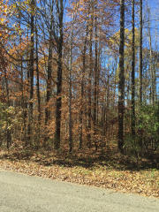 4350 Tulip Dr, Centerton, IN 46151-7594
